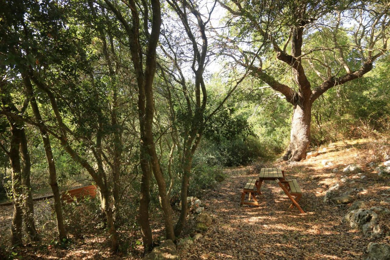 Antica Masseria Pescu Presicce Εξωτερικό φωτογραφία
